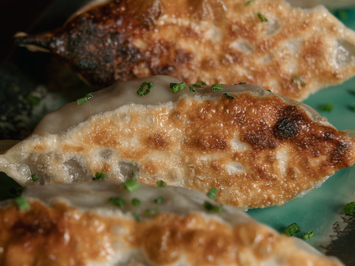 Close up of pan-fried gyoza with crisp, golden undersides.